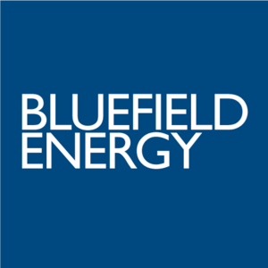 Bluefield Energy株式会社